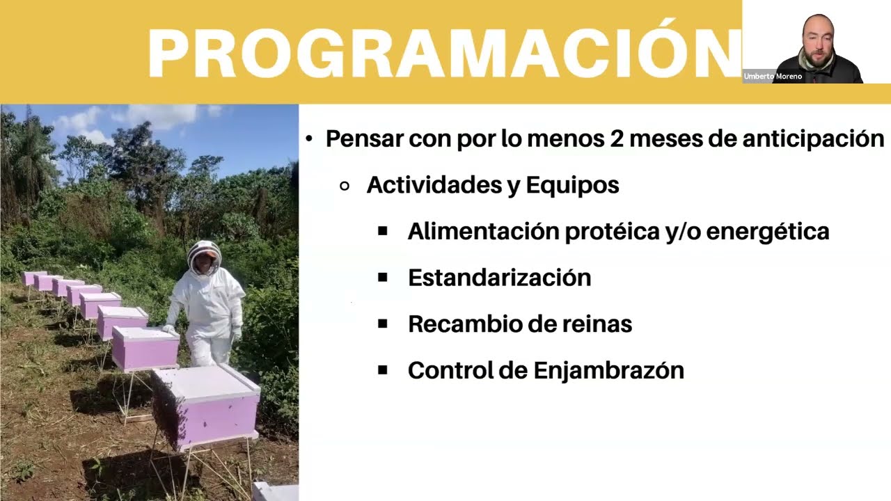 Aumento de la productividad Apícola