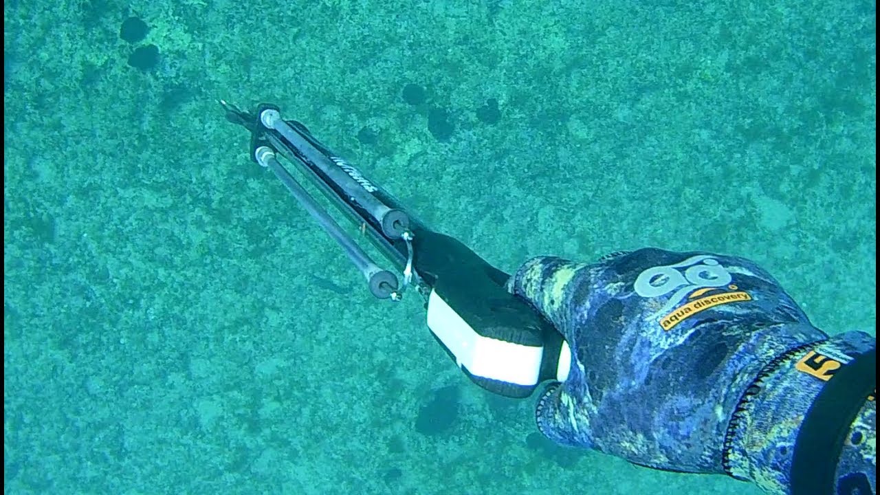 Pescasub: Pesca in Tana con  Fiocina Omer 4 Punte Mustad e Sorpresa Finale - Spearfishing