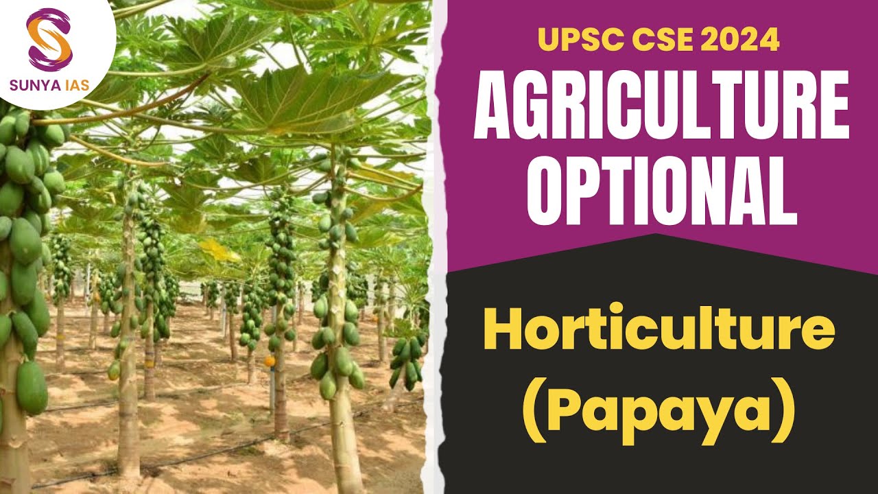 Papaya | Horticulture | Agriculture Optional Foundation 2023/24