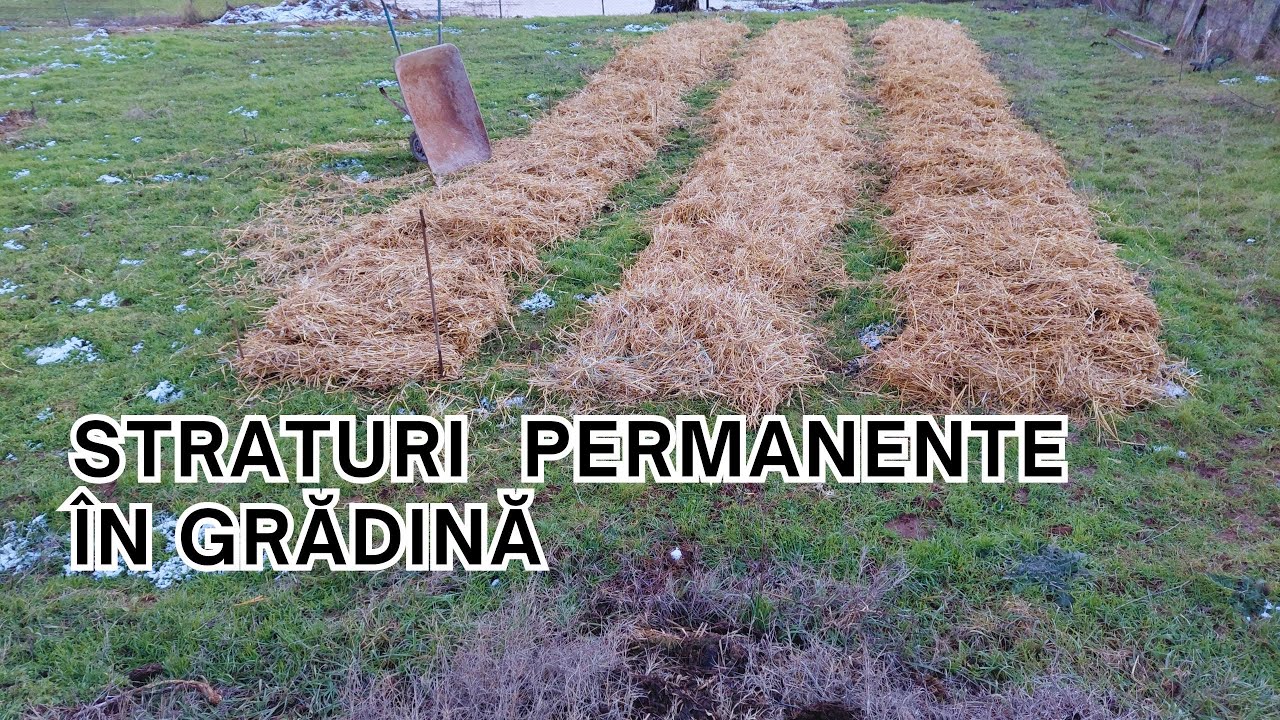 Cum am înființat straturi permanente în grădină în luna Ianuarie