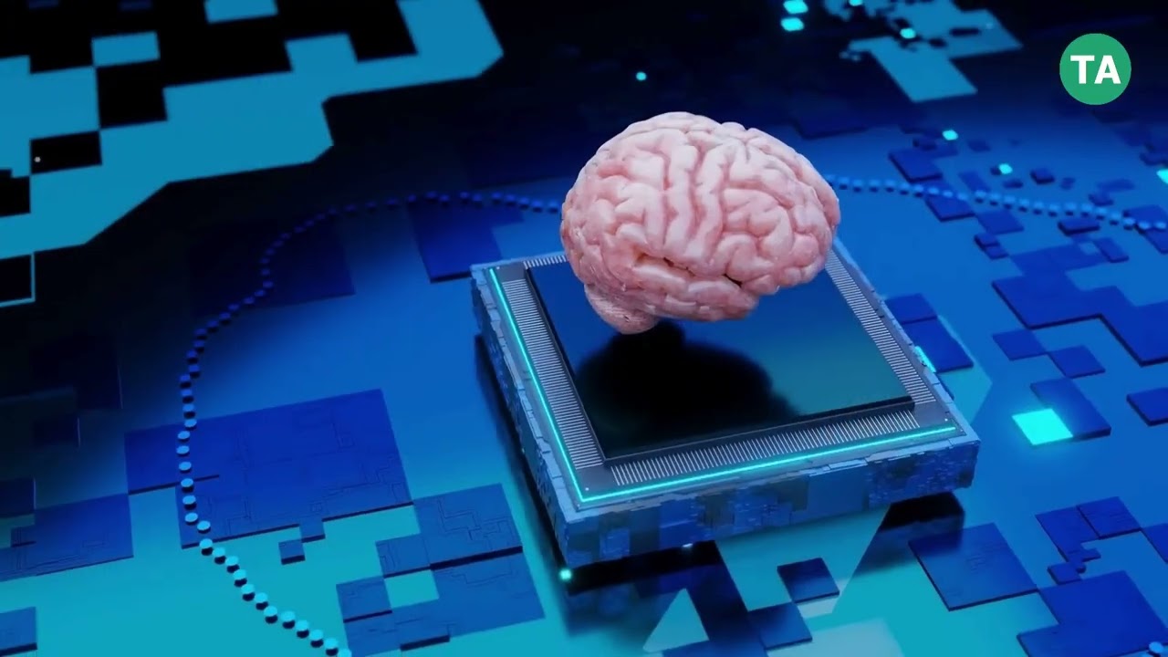 How to Use AI to Automate Customer Support at Scale #news #ai #customersupport