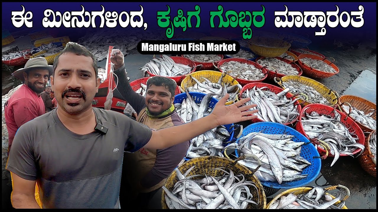 ಮಂಗಳೂರಿನ ಅತಿದೊಡ್ಡ ಮೀನಿನ🐙 🦑 🐠 Market Tour | Sathish Eregowda Vlogs | Mangalore fish market | KKT Ride