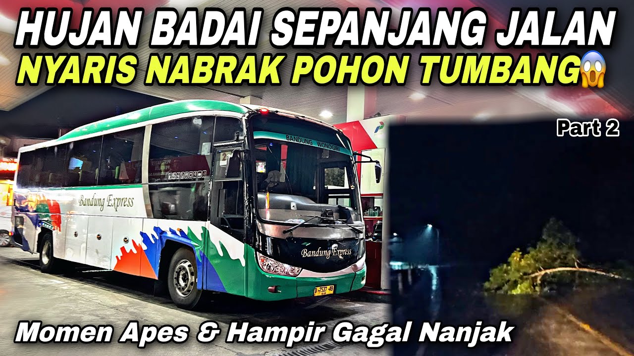 Nearly Hit a Fallen Tree 😱 Driven by a Heavy Rainstorm Along the Road ❗️| Bandung Express D 7537 ...