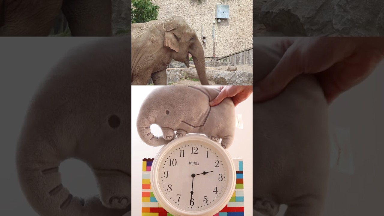 Hickory Dickory Dock the Elephant 🐘 Went up the Clock🕰️ #nurseryrhymes #kidssongs #kidsvideo #kids