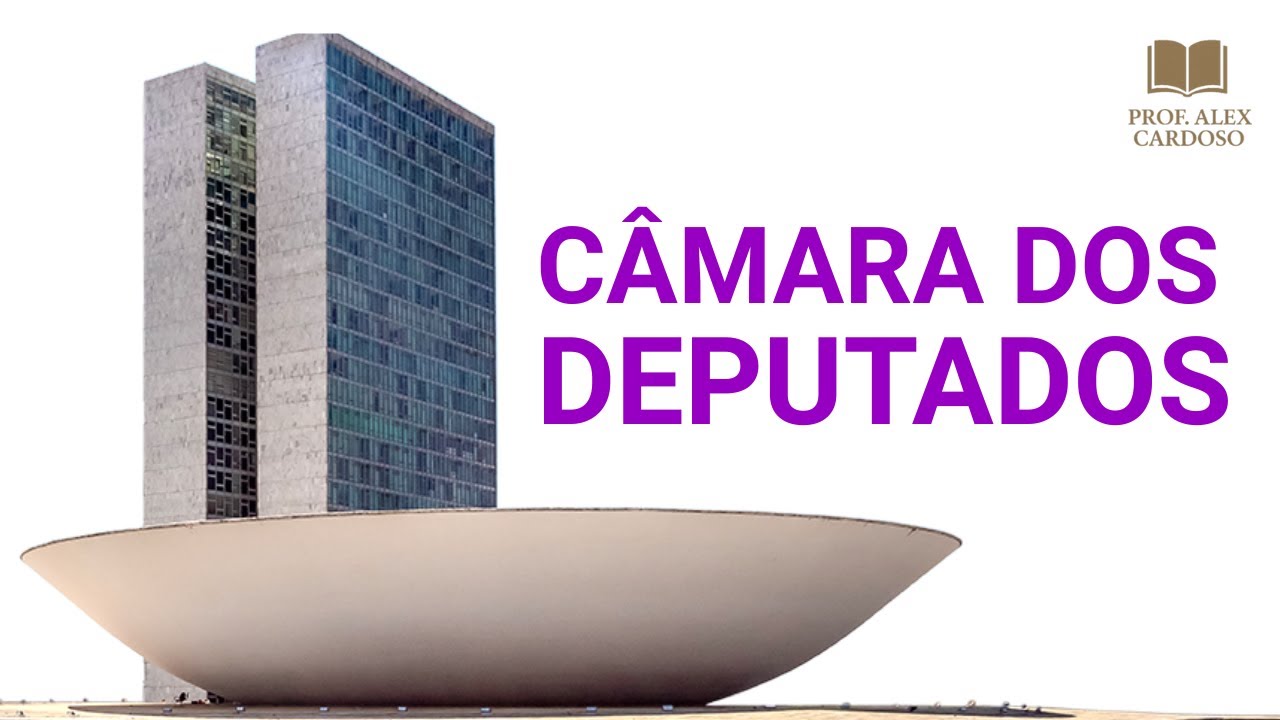 40 QUESTÕES DE LICITAÇÃO I BANCA CEBRASPE
