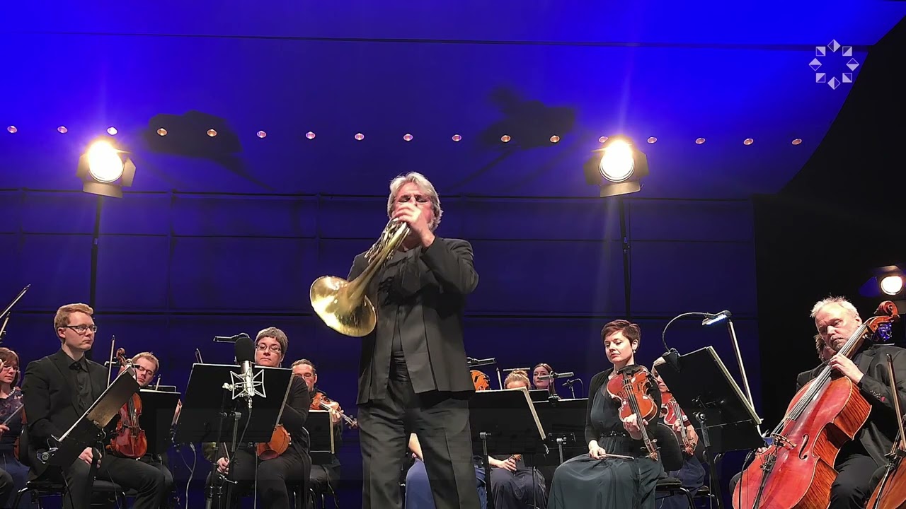 Cadenza Mozart k495 / concerto n.4 Mozart - Radovan Vlatković