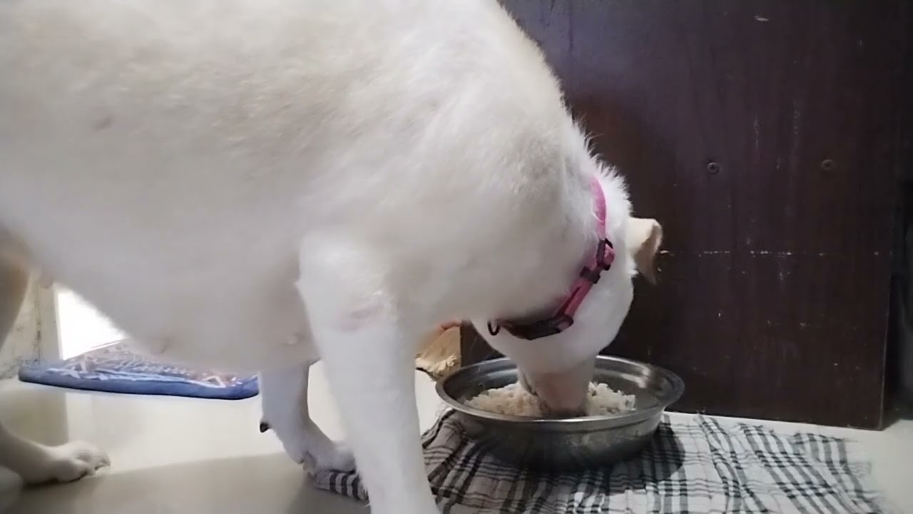 Tapos maligo kakain NMN siya