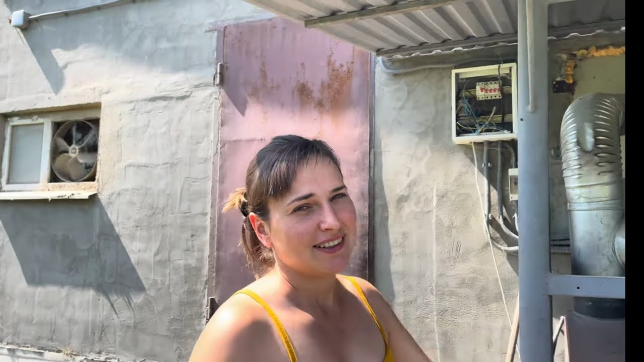 Методи боротьби зі спекою в свинарниках. Рестайлінг Морозильної камери