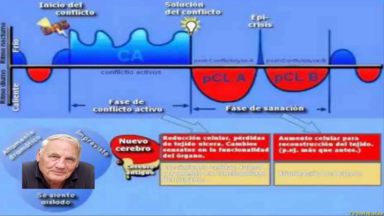 M&uacute;sica de Curacion y Sanacion del Dr Hamer Melodia con energia Positiva 2025