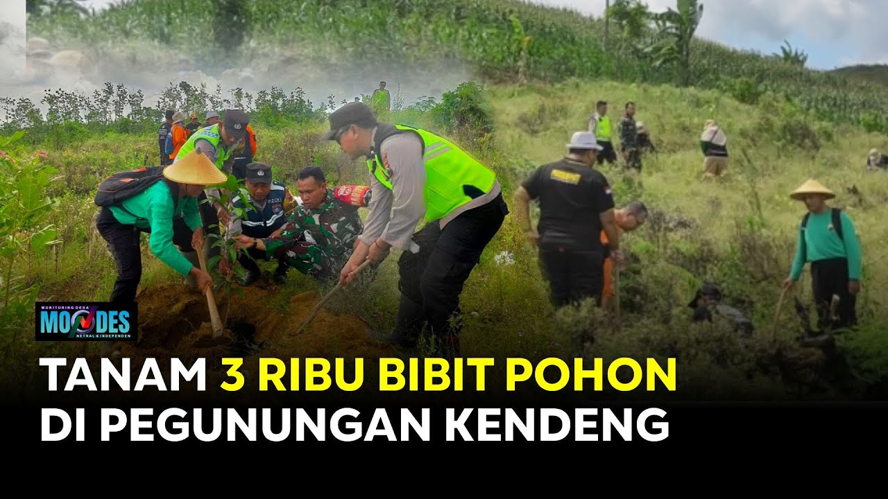Rawat Warisan Bumi Kendeng, 3 Ribu Bibit Pohon Ditanam di Desa Wukirsari