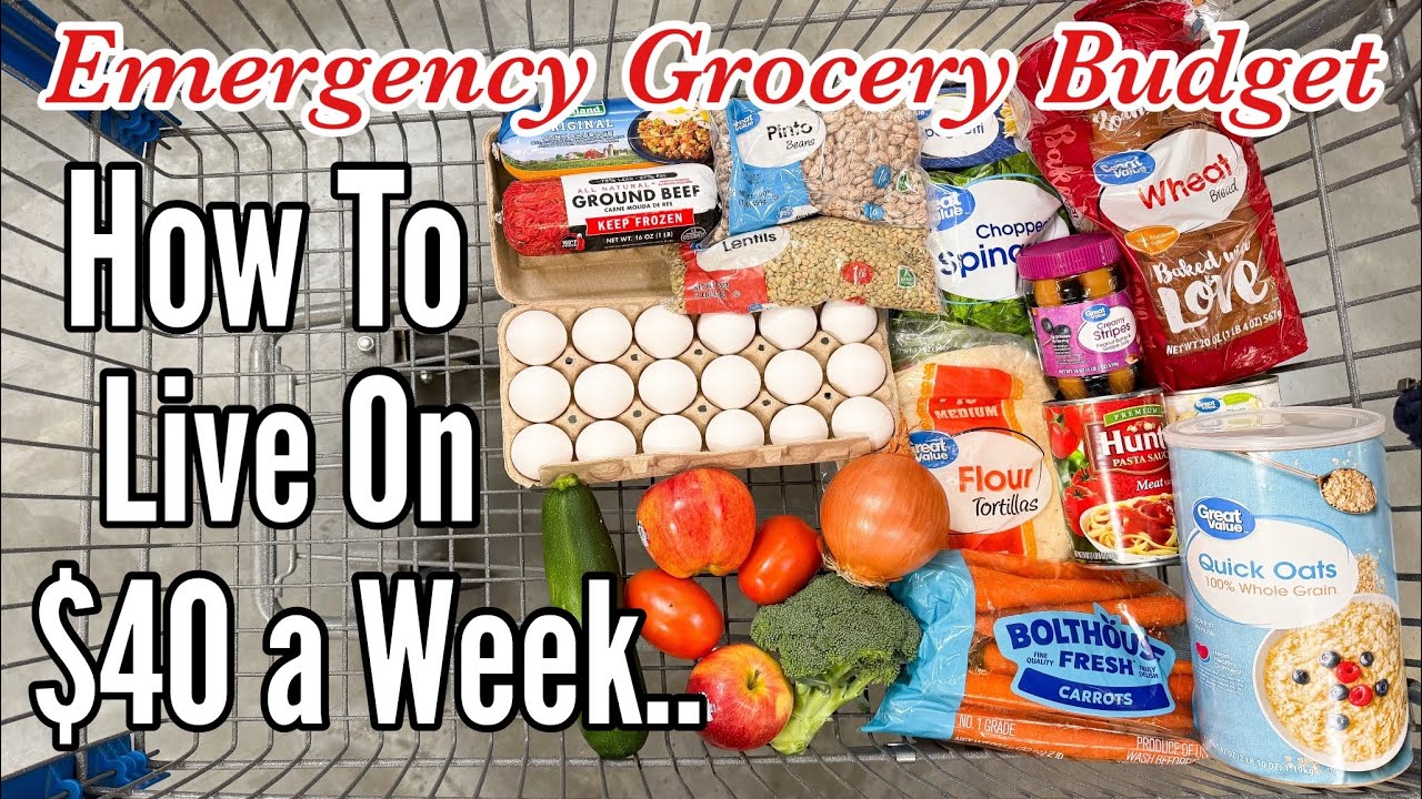 We Tried Feeding 4 People on $40 for a Week (Breakfast, Lunch & Dinner) | JULIA PACHECO