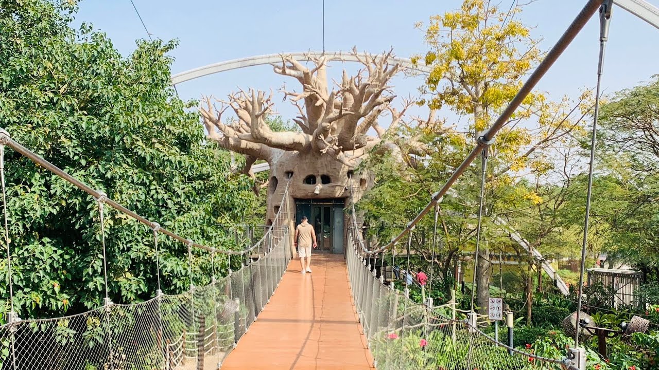 ARAT NA @ DUBAI SAFARI PARK(part2)