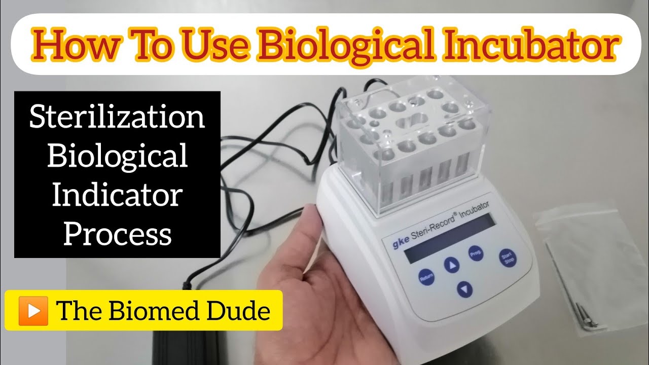 How to use Biological Indicator | Biological indicator incubator | The Biomed Dude #cssd #incubator