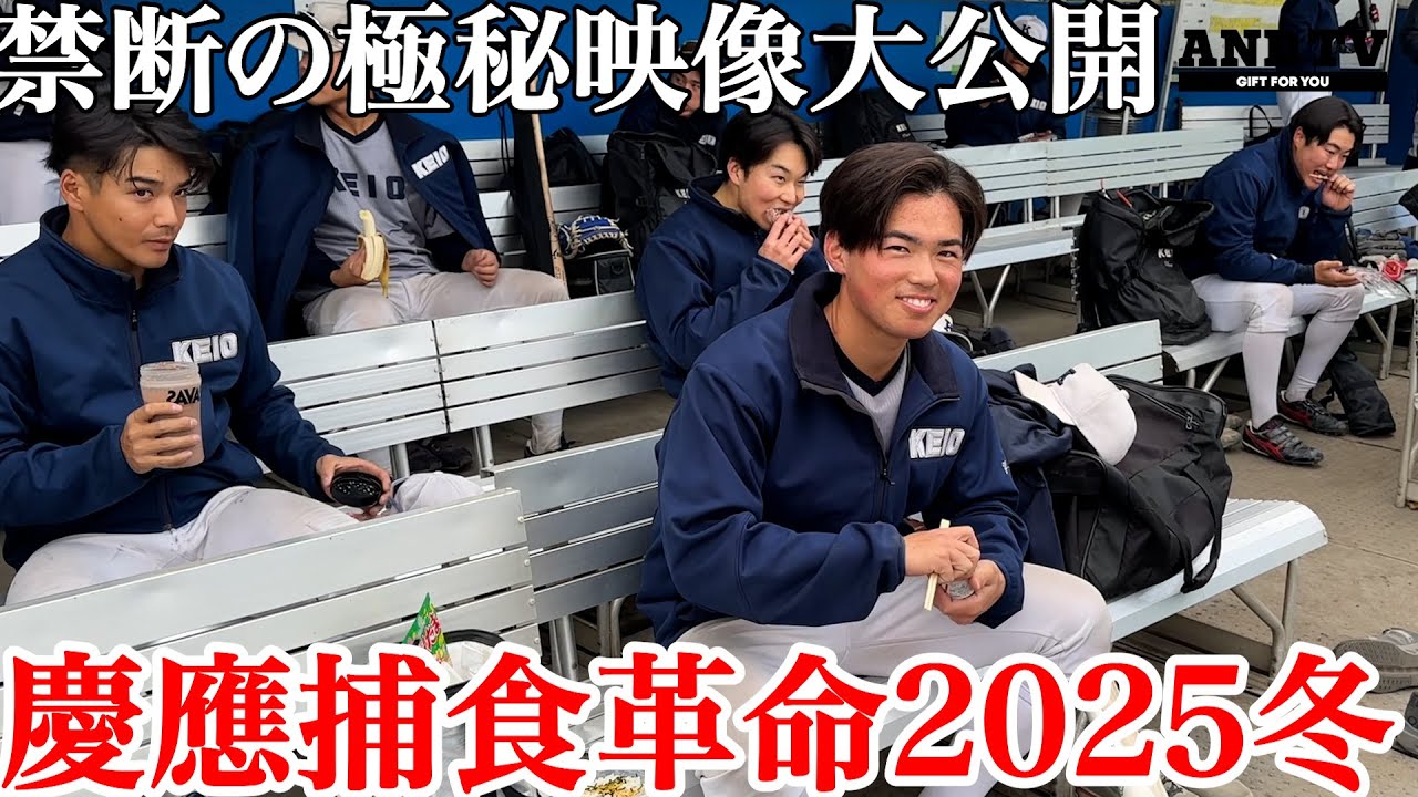 【限定公開】慶應復権へ改革…補食の目標は500kcalの理由…  #慶應義塾大学 #堀井哲也 #加藤右悟  #捕食