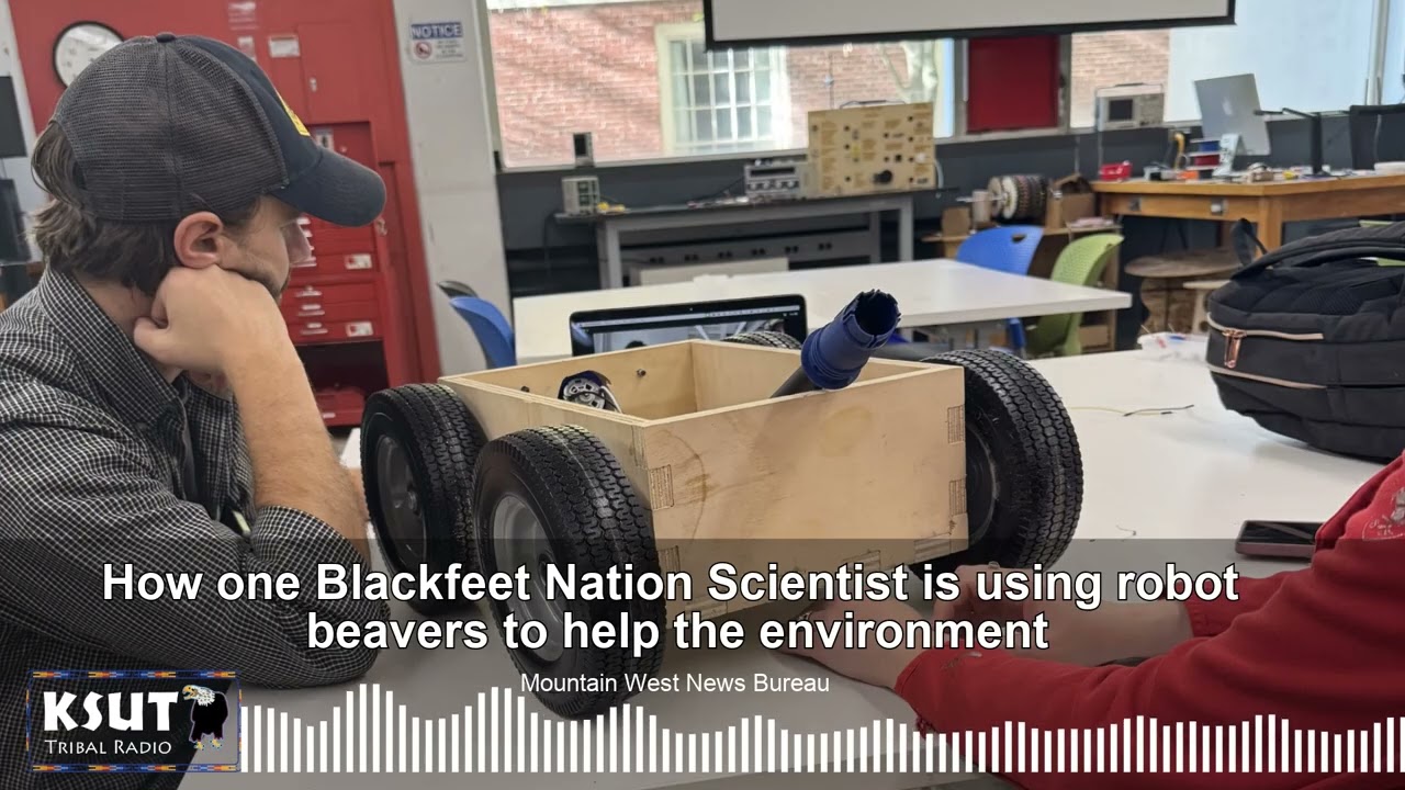 How one Blackfeet Nation scientist is using robot beavers to help the environment
