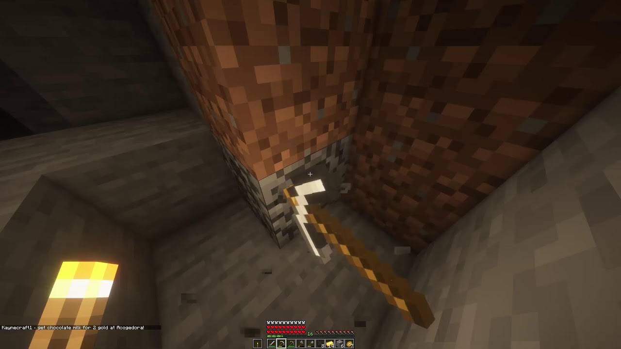 Arena SMP but I have no clue what I am doing