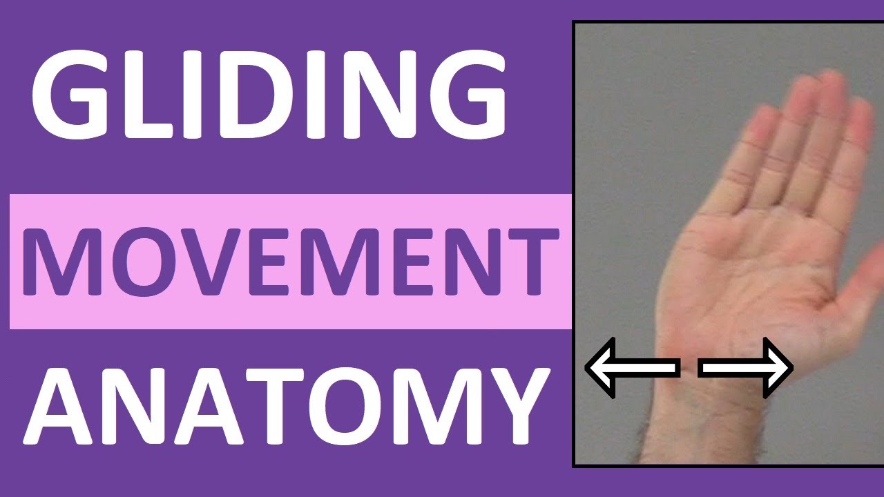Gliding Movement of Joint | Anatomy Body Movement Terms | Body Planes of Motion