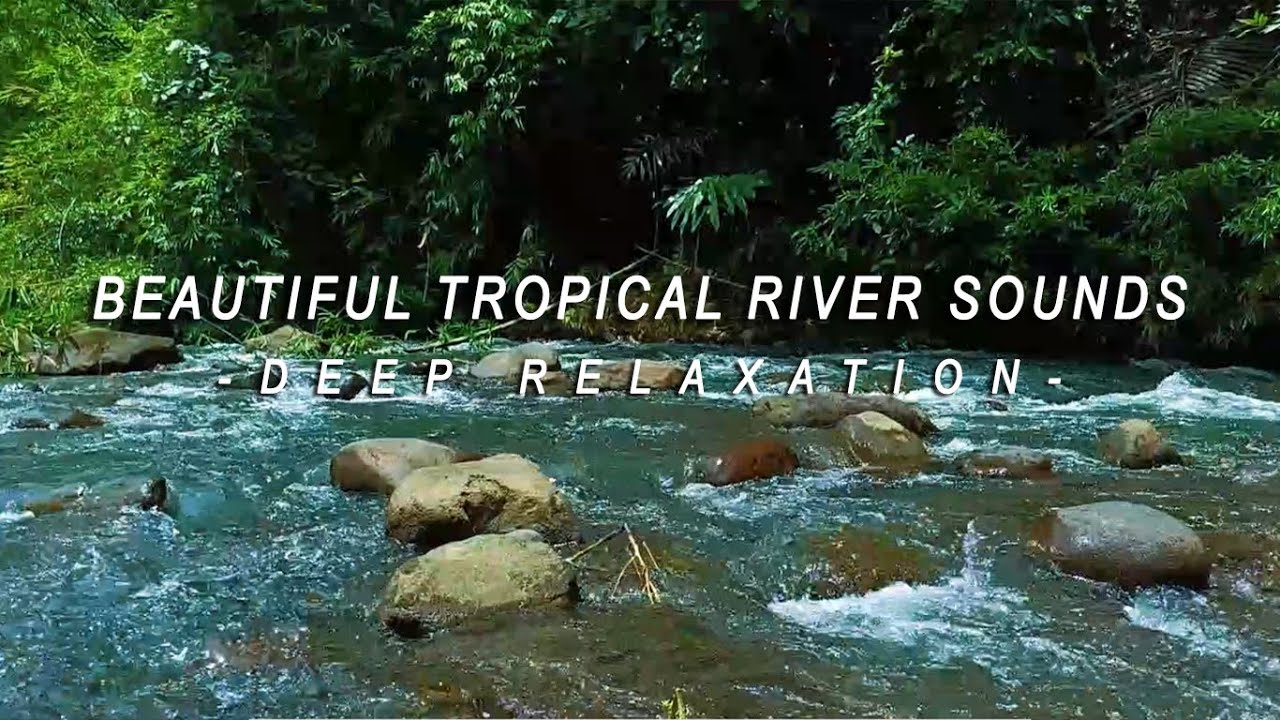 Beautiful Tropical River Sounds for Deep Relaxation