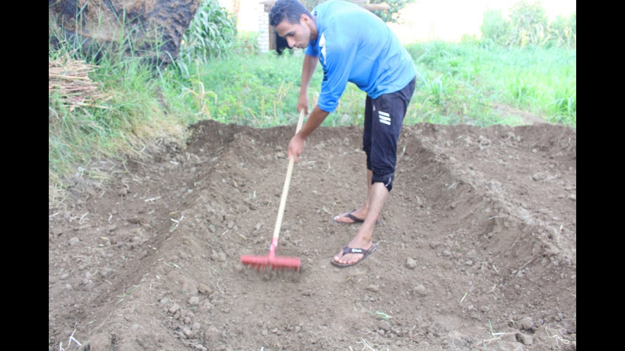 #تجهيز_الاحواض للزراعه|1|  أعداد التربه وتسويتها HOW TO GROW In the garden