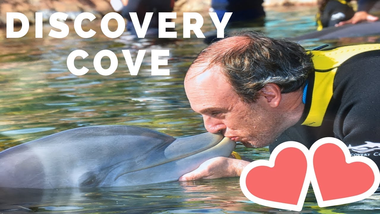 Discovery Cove | Viaje a Orlando Parte 5