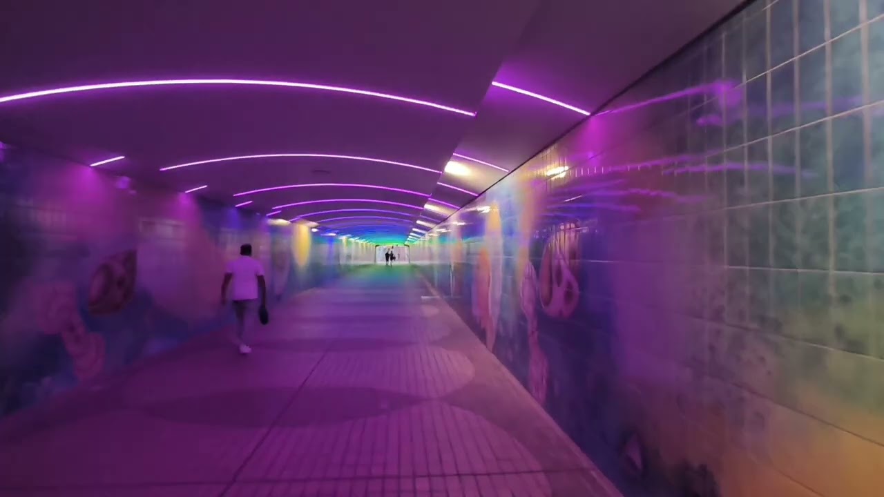 Пакет OZON в Эмиратах.                      Арабские Эмираты 2025. Абу- Даби