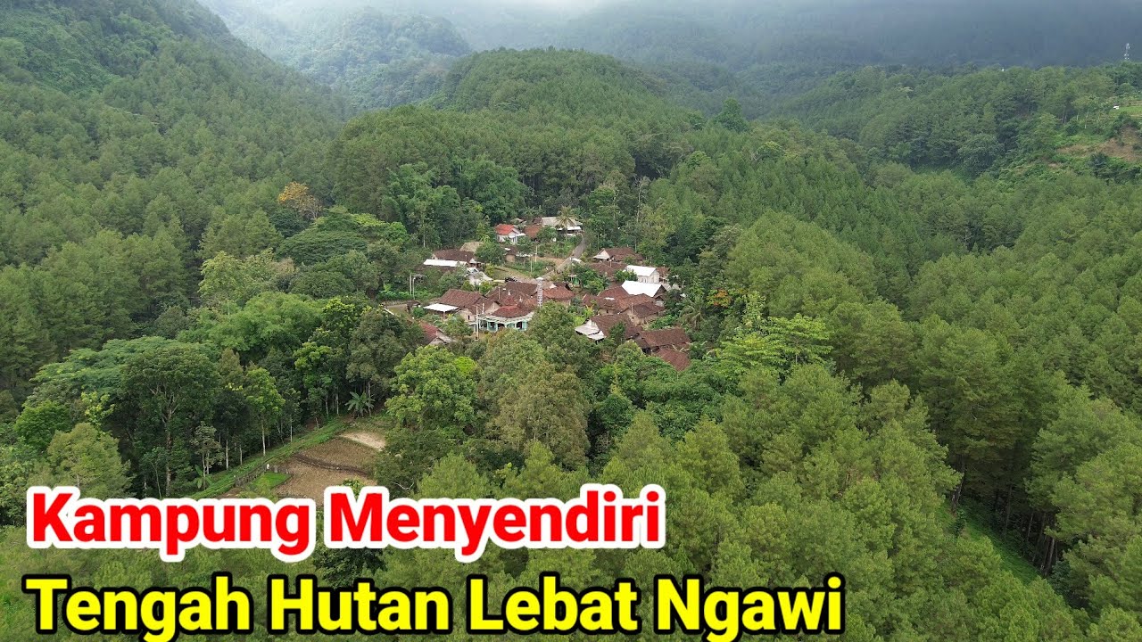 Kampung Sendirian Tengah Hutan Gunung Lawu Ngawi 