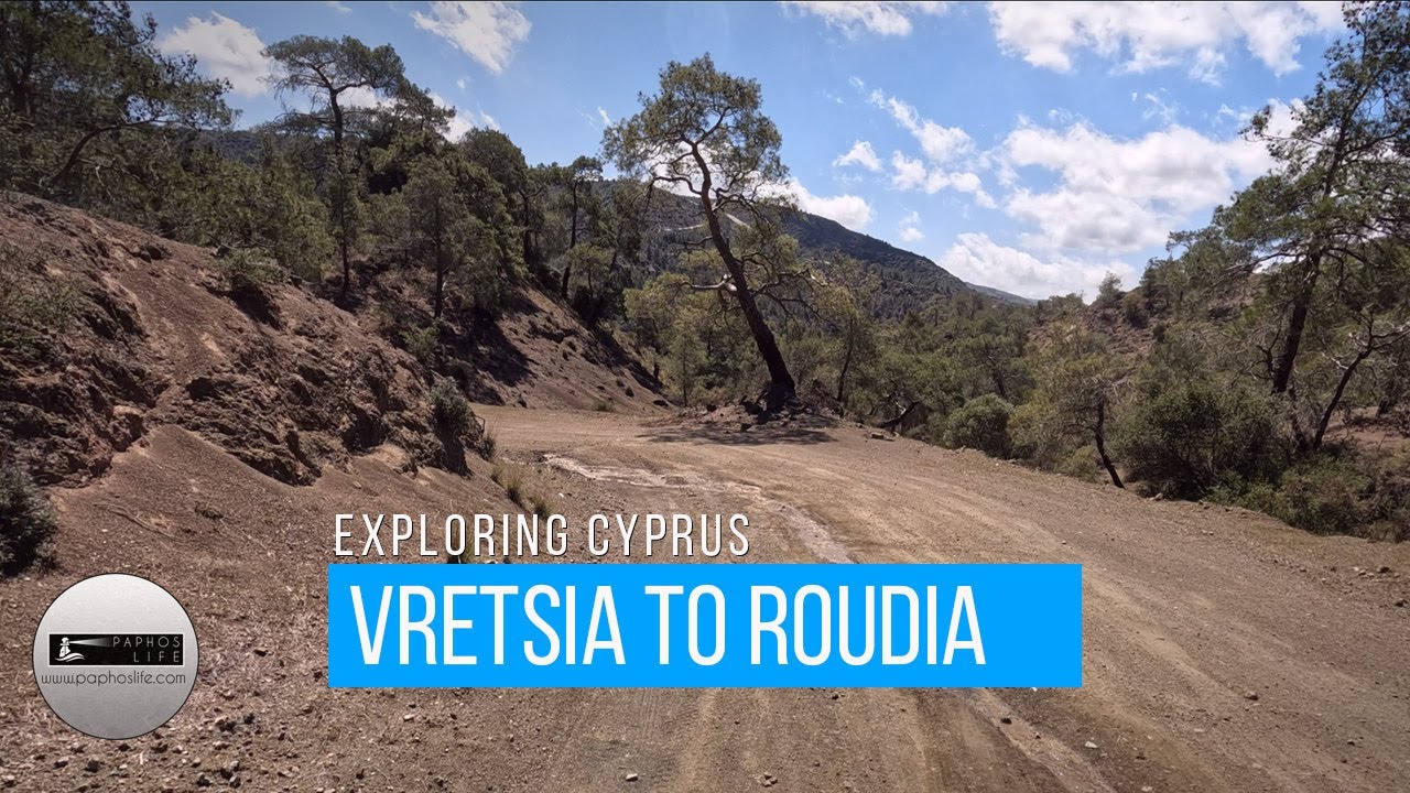 From Vretsia to Roudia Bridge, 4K Drive Through Paphos Forest