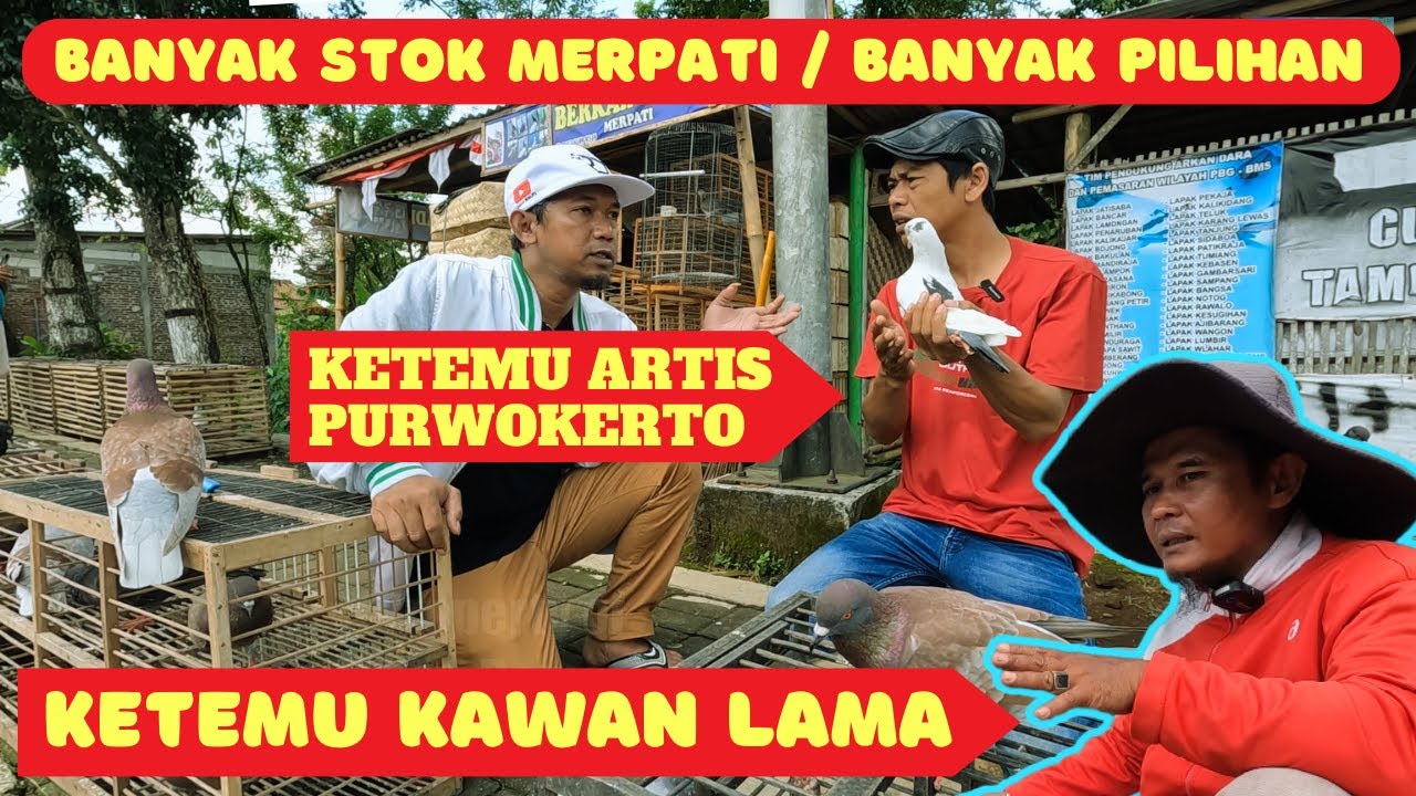 PANTES RAME... HARGA MERPATINYA RATA RATA 100 RIBUAN JOS JOS
