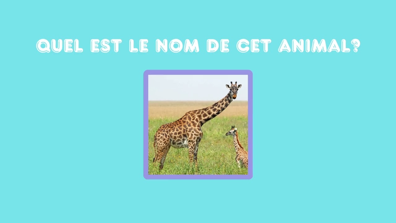 Trouve le nom des animaux de la Savane ! | 🎨Babygum
