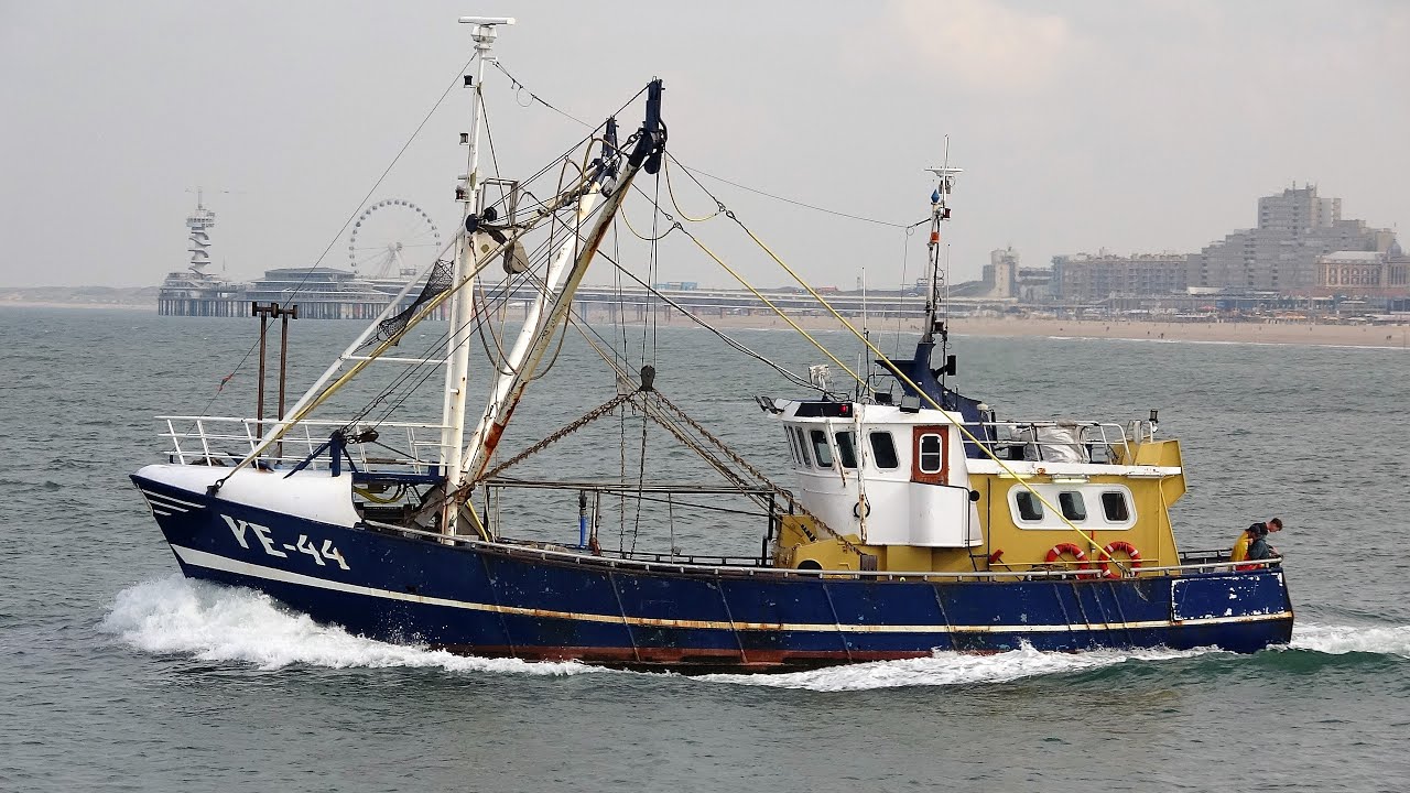 Div garnalenkotters inkomend lossen en naar zee deel 2 slot. Scheveningen 23-9-2020