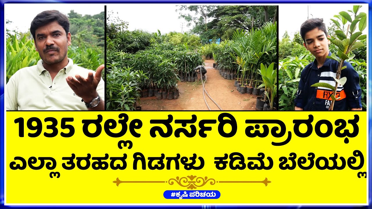 SYED ALI New Modern Nursery Garden  || ನರ್ಸರಿ ಉದ್ಯಮದಲ್ಲಿ ಯಶಸ್ವಿ