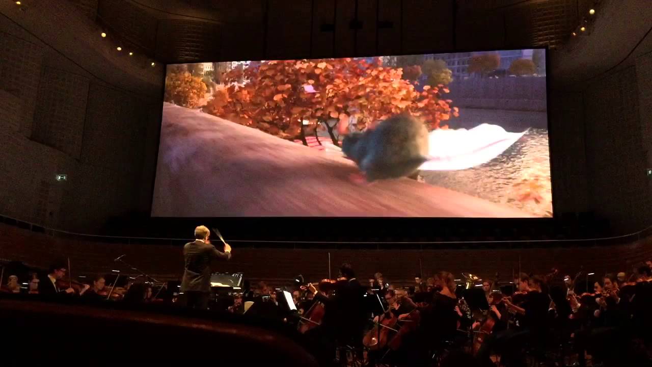 The Paper Chase - Ratatouille live in concert