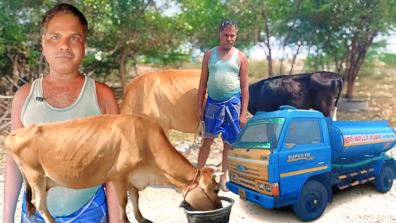 8 மாடுகளுடன் Hotel, tea shop, Water Supply, விவசாயம் 4 தொழிலை இணைத்து அசத்தும் அய்யா | Siva Arun Tv