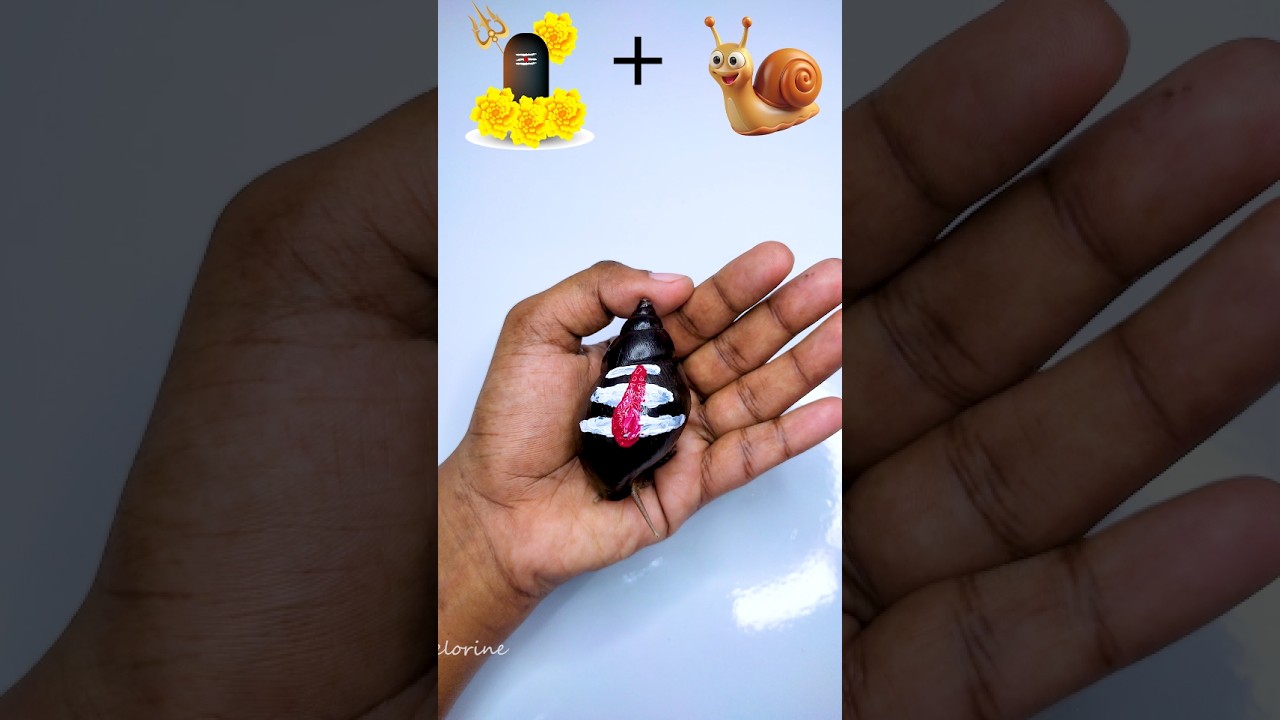 Art on Snail Shell: Painting Shiva | Unique Spiritual Animal Art 