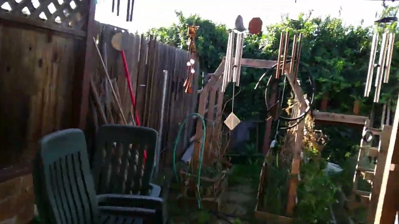 Wind Chimes In The Wind 3/4/2026