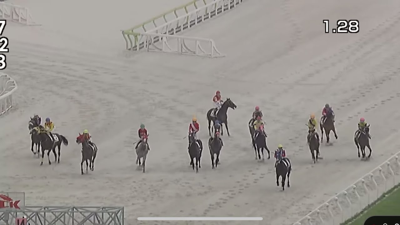 7/1 大井競馬 ６レースの珍しいアクシデント