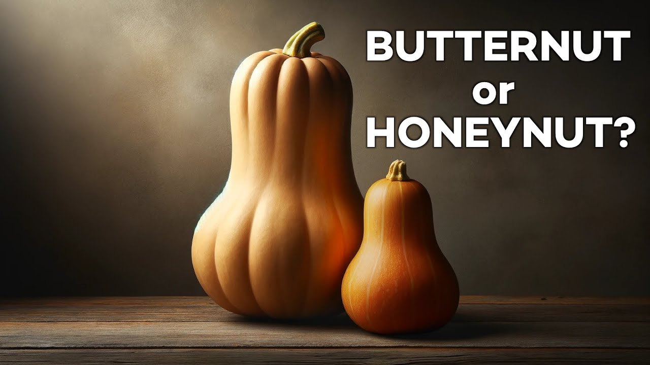 Does Honeynut Squash Live Up to the Hype?