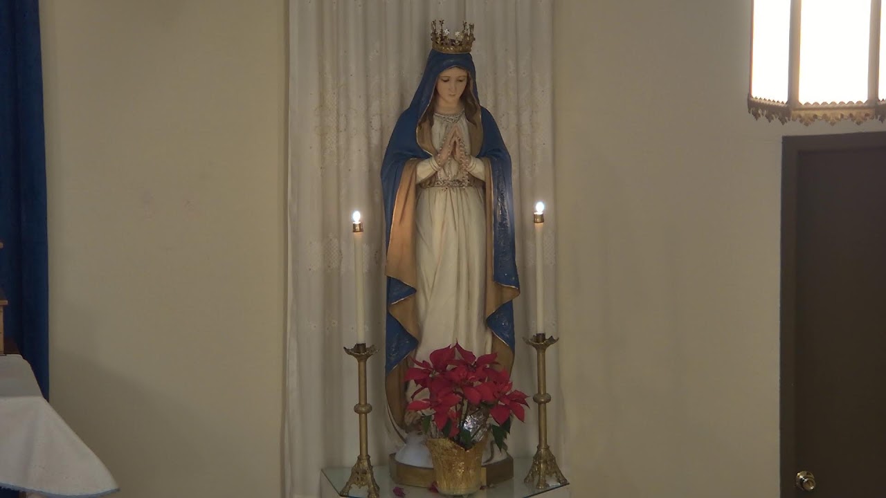 Rosary, February 7, 2026