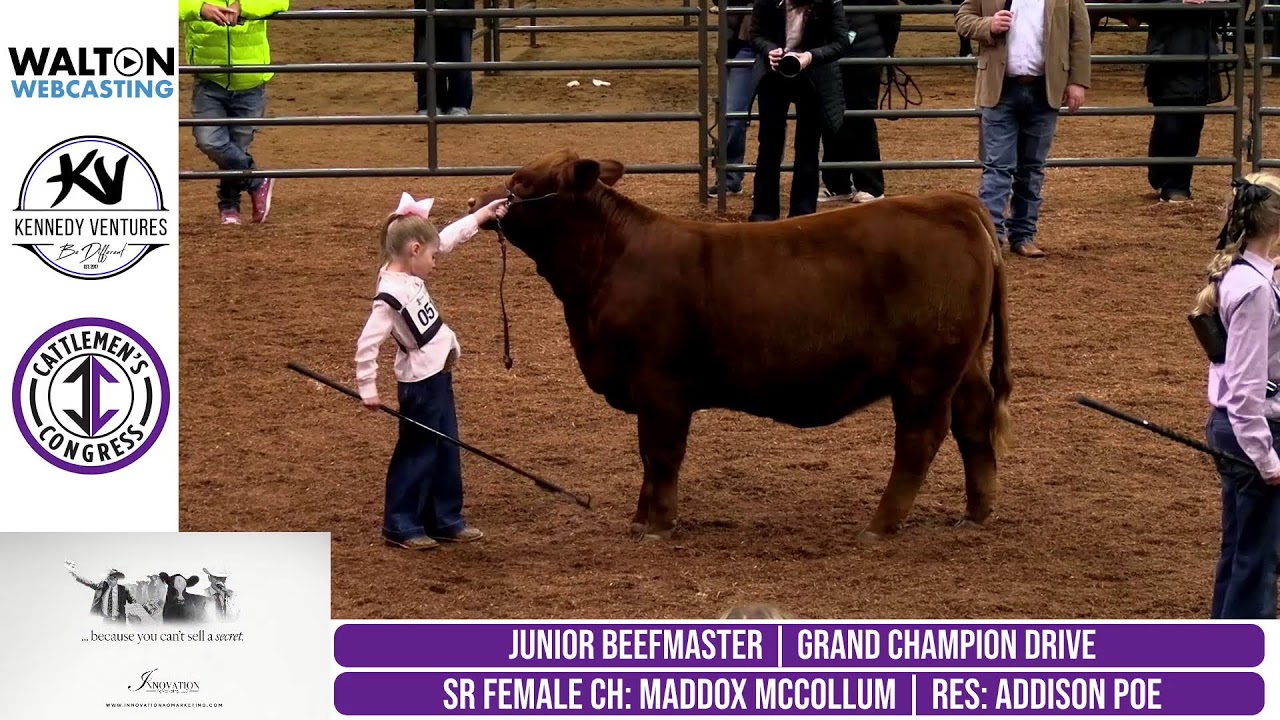 2026 Cattleman's Congress - Beefmaster Junior Show