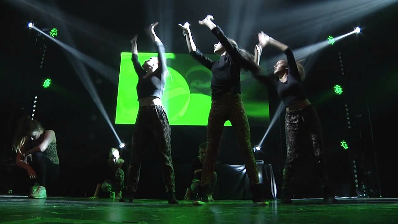 Scandinavian Dance Academy 2013