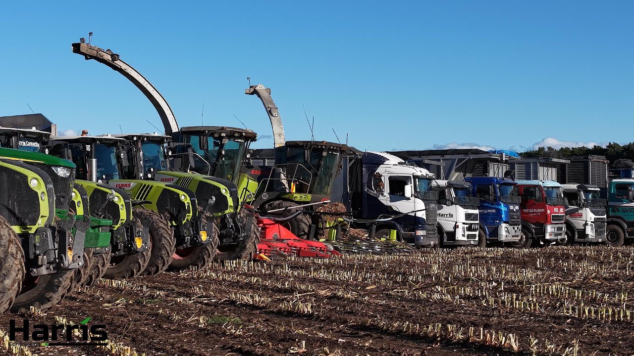 Harris Contracting 24/25 Season