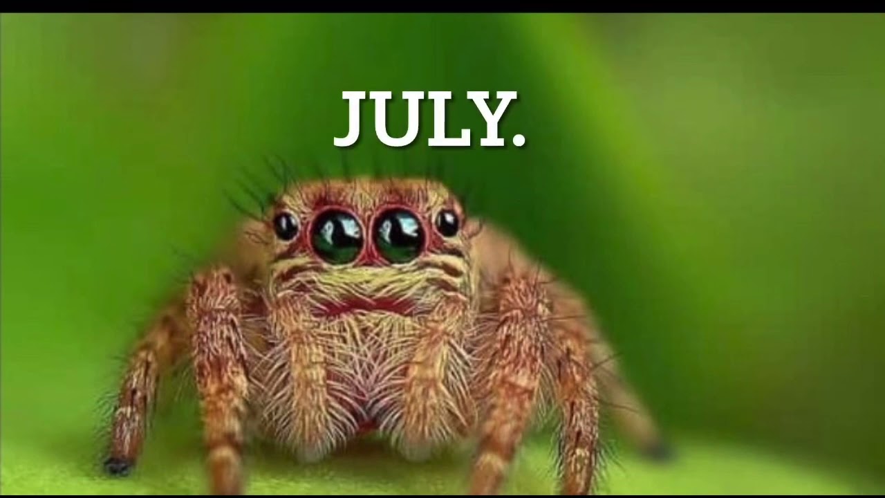 Your month your bug