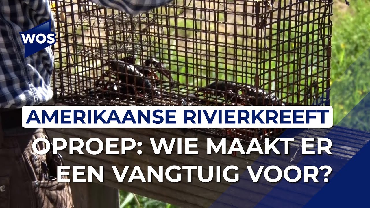 Vangtuig voor Amerikaanse rivierkreeft