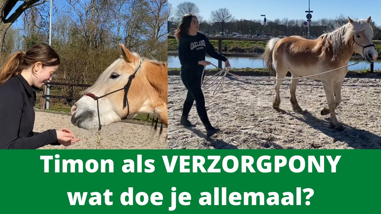 VERZORGPONY Timon met Tamsin en Linde