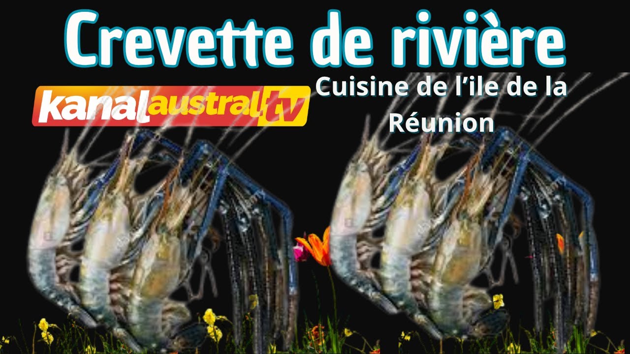 LA CUISINE DE TOTO - Crevette de rivi&egrave;re et Rougail Sal&eacute; - KANAL AUSTRAL.TV