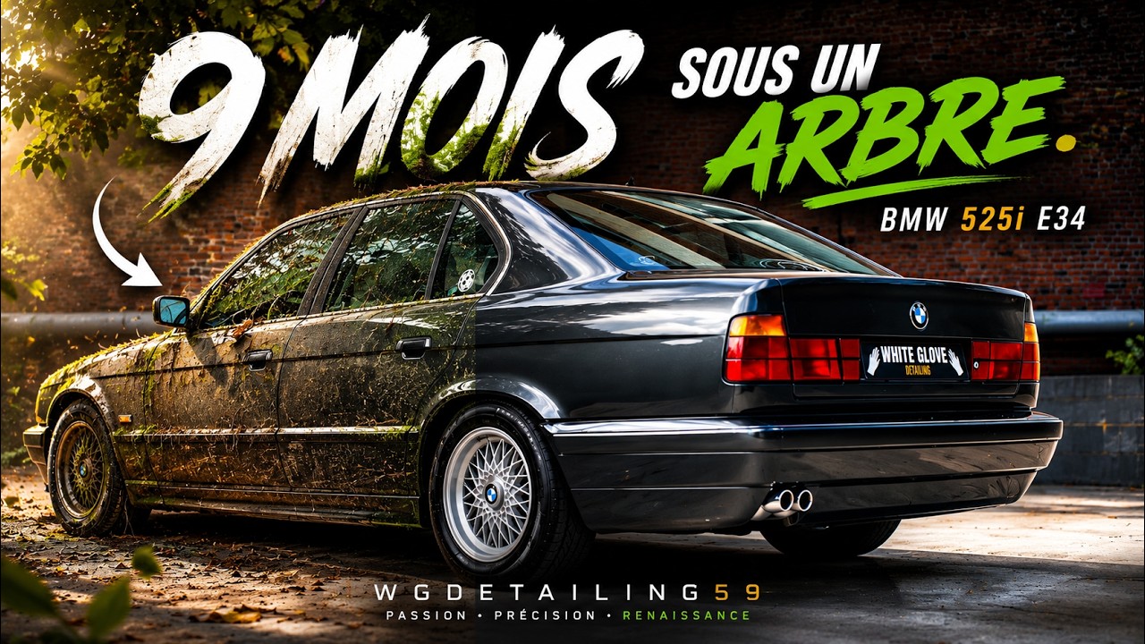 🌳🧼BMW 525i E34 - 9 mois sous un arbre - ASMR DETAILING