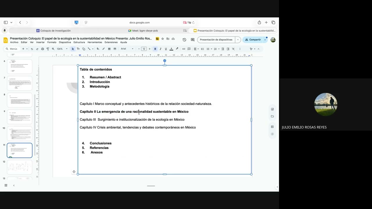 Fundamentos teóricos y formación en Sustentabilidad