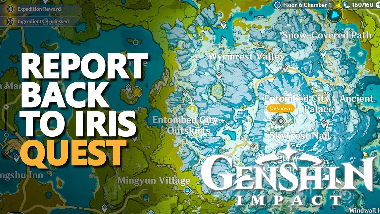 Report back to Iris Genshin Impact