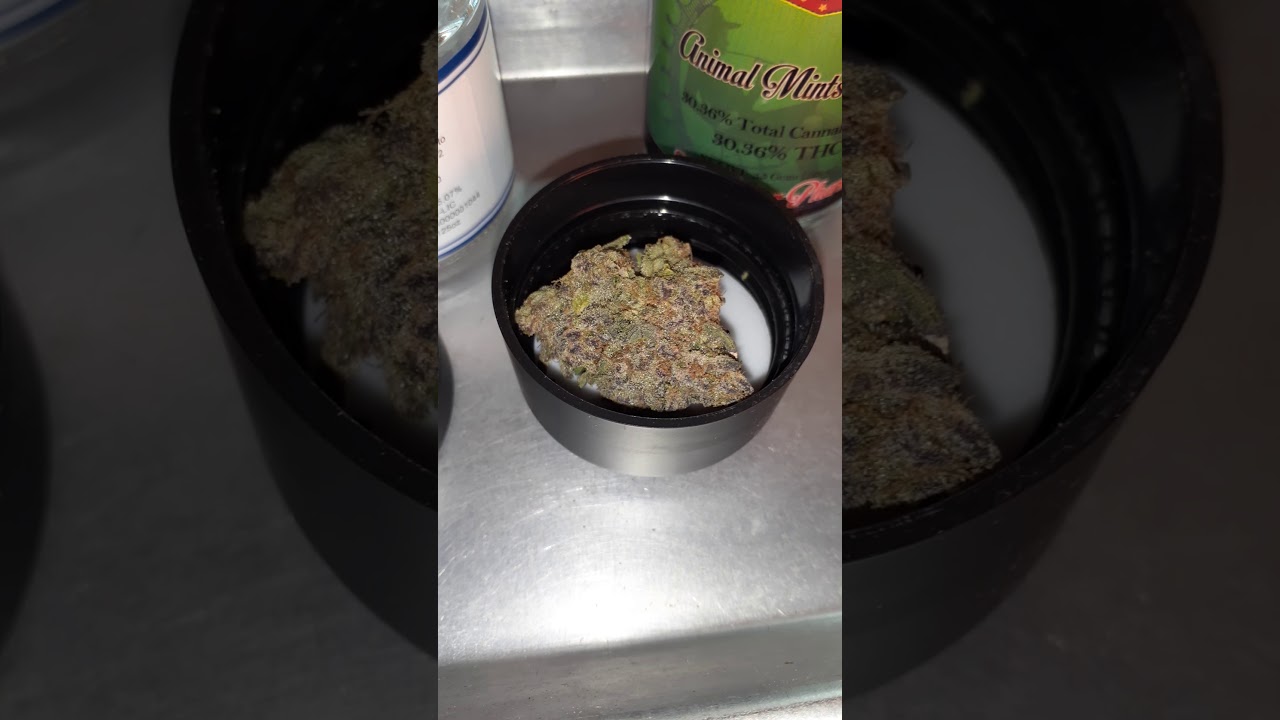 30.75 vs 30.36% Thc Animal Mints Bx1 vs 91' Cookies