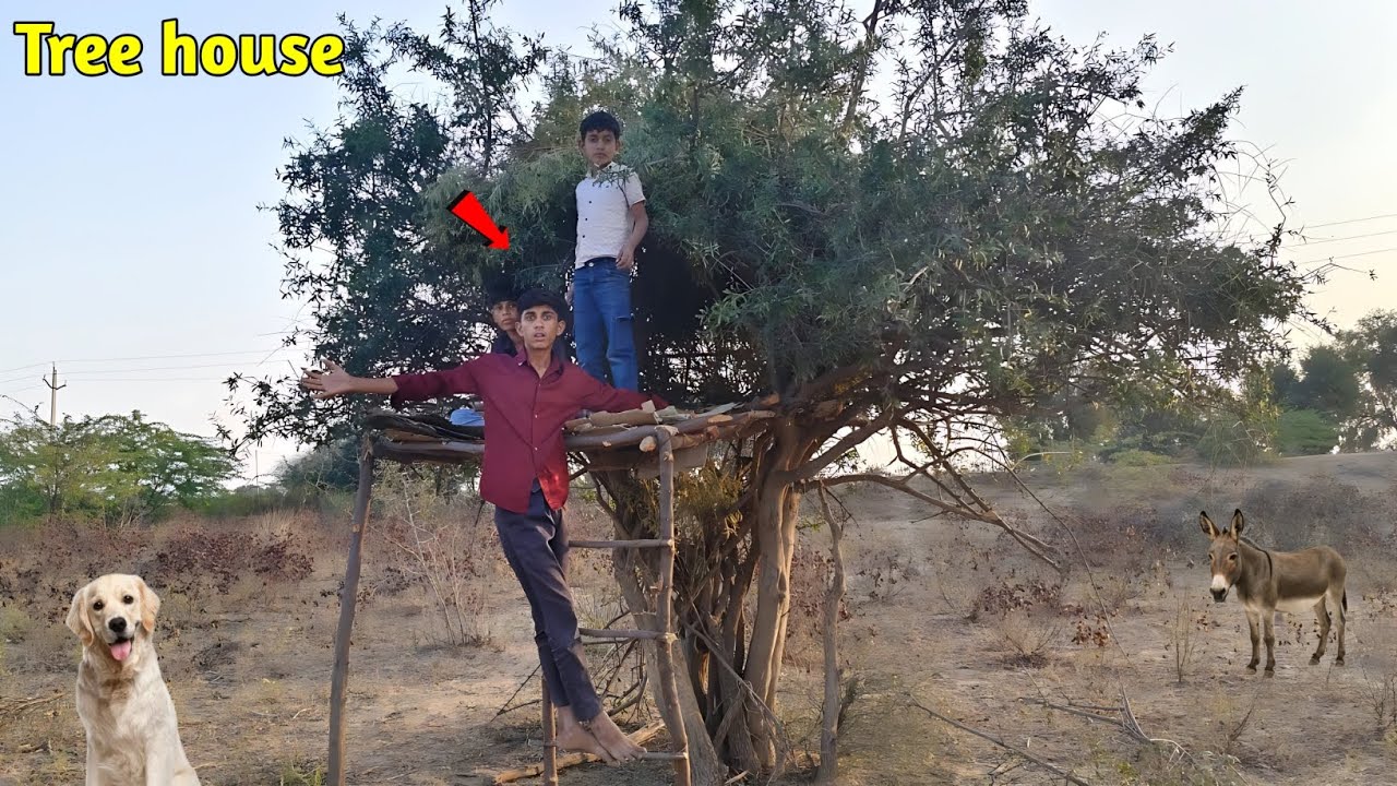 We Made a Real Tree House😱 पेड़ों के बीच बना शानदार ट्री हाउस। Tree House Tour🌴